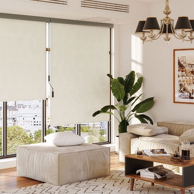 バルコニー 日光とプライバシー 保護 ハンドクランク メカニズム 垂直 屋外 ローラーブラインド